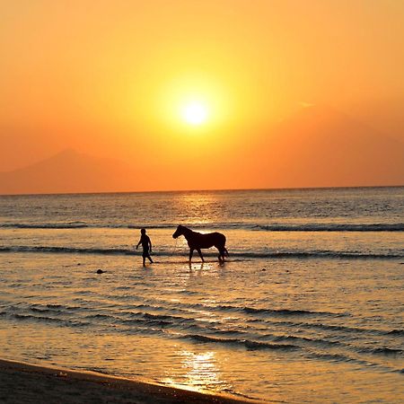 Villa Sunset Beach Gili Trawangan Dış mekan fotoğraf